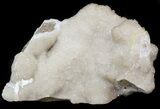 Druzy Quartz Chalcedony on Lace Agate - Missouri #43838-1